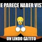 Senseigaturro