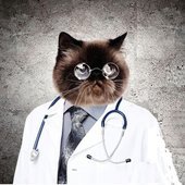 drcat