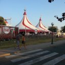 circoalegria