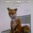 Elaprendiz69