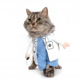 Dr cat