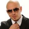 Pitbul