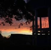 Junin